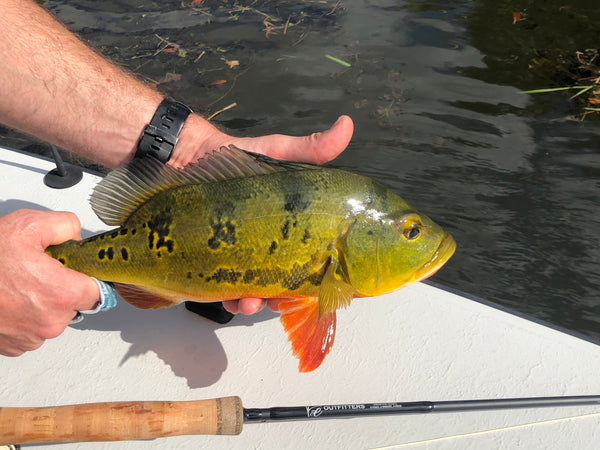 Shadow Series Fly Rods